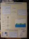expo4.JPG (988076 octets)